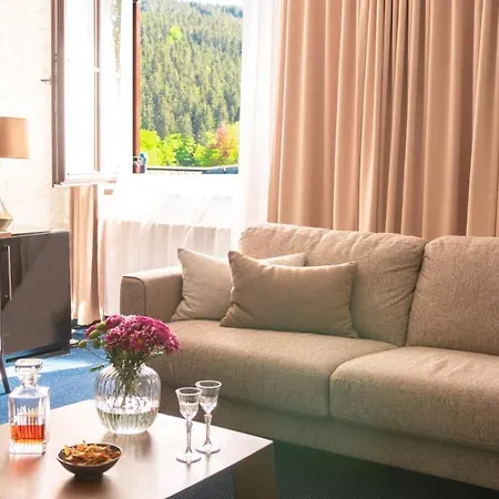 Savoy Hotel Spindleruv Mlyn