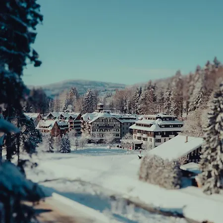 Szálloda Savoy 4*